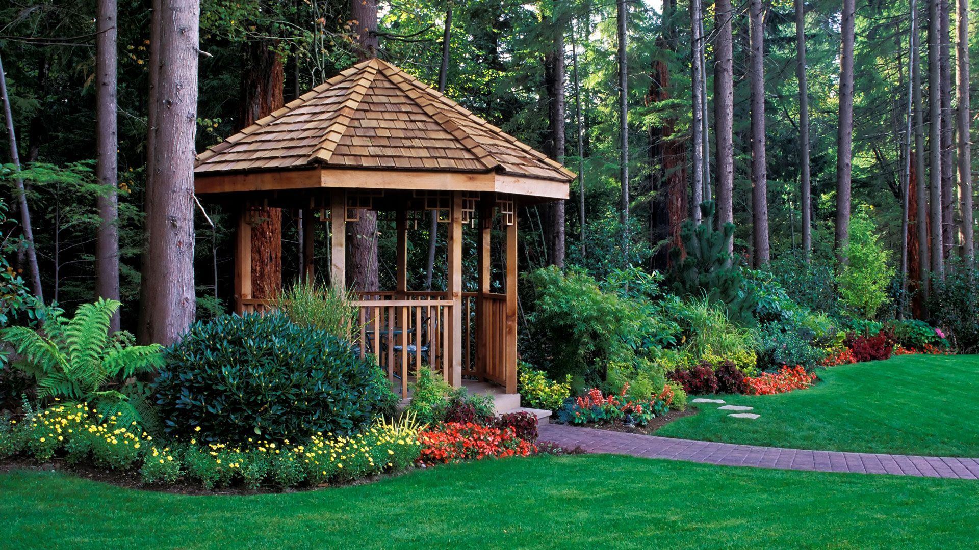 Outdoor Hut | Charlotte, NC | Elephant Trunk Tree and Landscaping