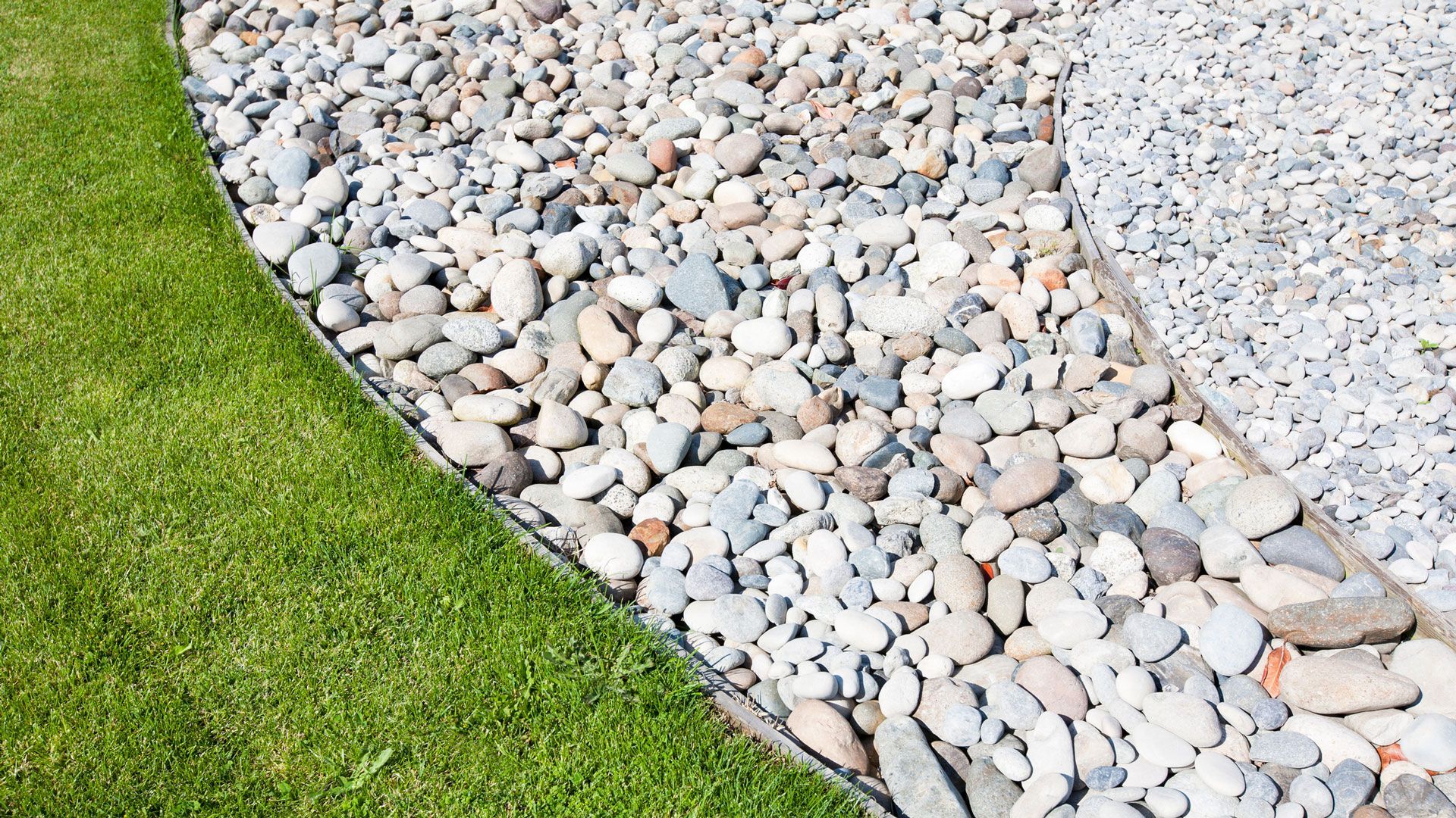 Arranged Rocks | Charlotte, NC | Elephant Trunk Tree and Landscaping