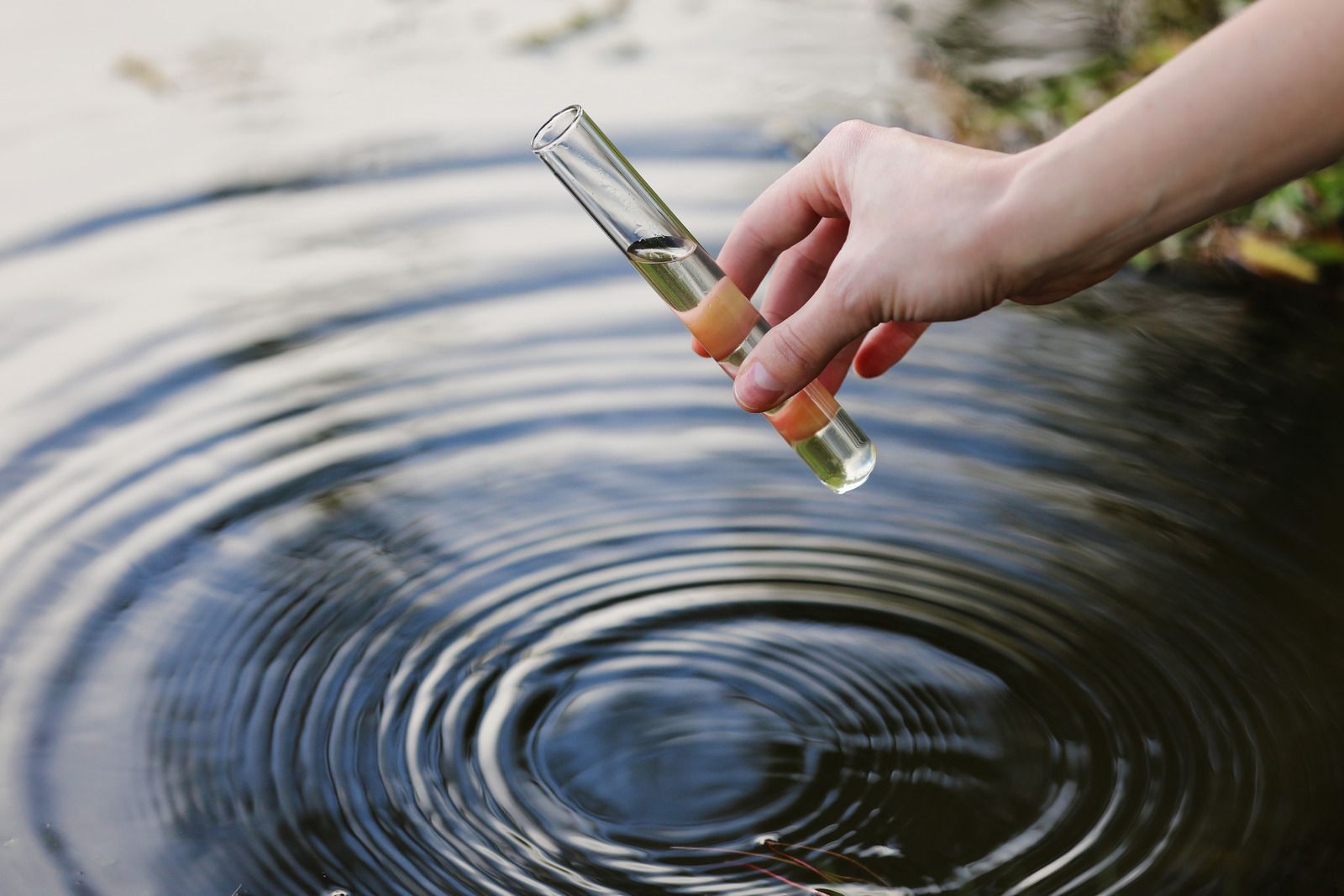 Person collecting water sample from a pond using a test tube.