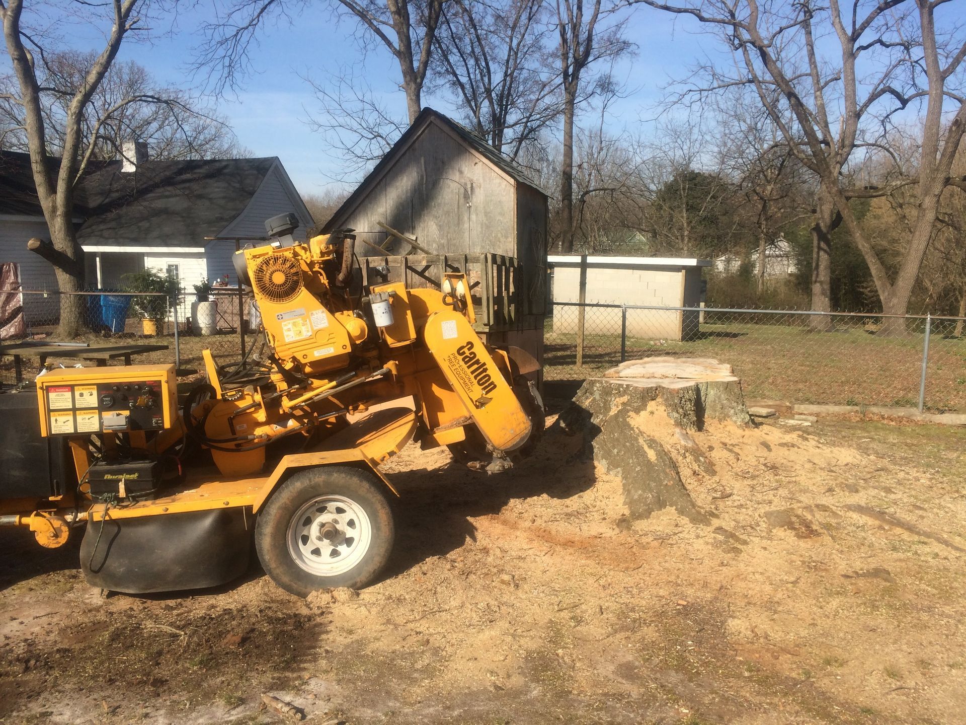 Tree Service | Gastonia, North Carolina | We's is Trees