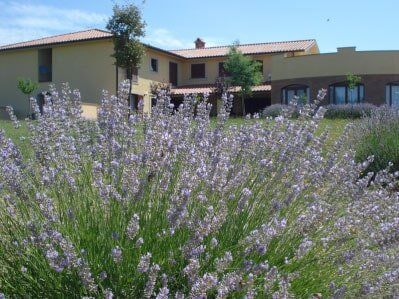 Struttura con giardino