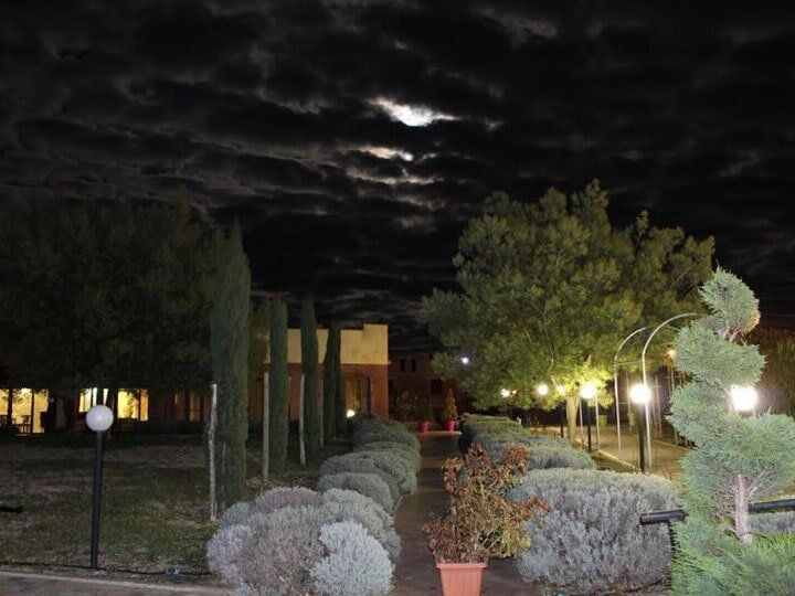 Giardino di notte