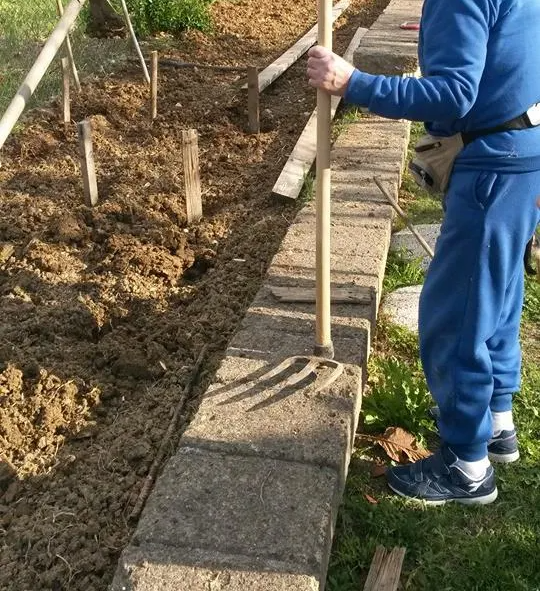 Vegetable garden height