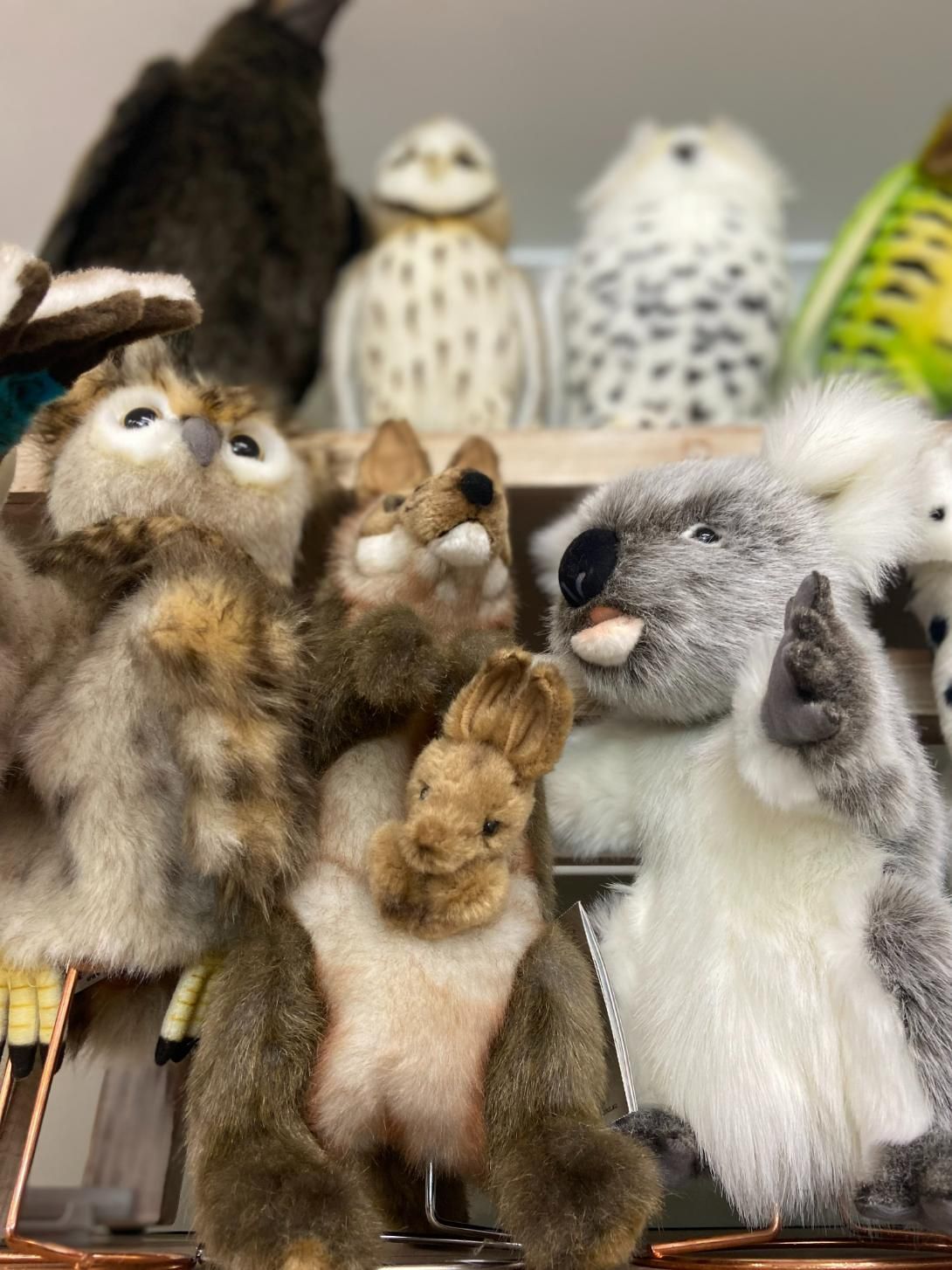 A Store Filled With Lots of Items Including Candles and Ceramics — Nambour Heights Gifts & Christmas Shop in Nambour, QLD