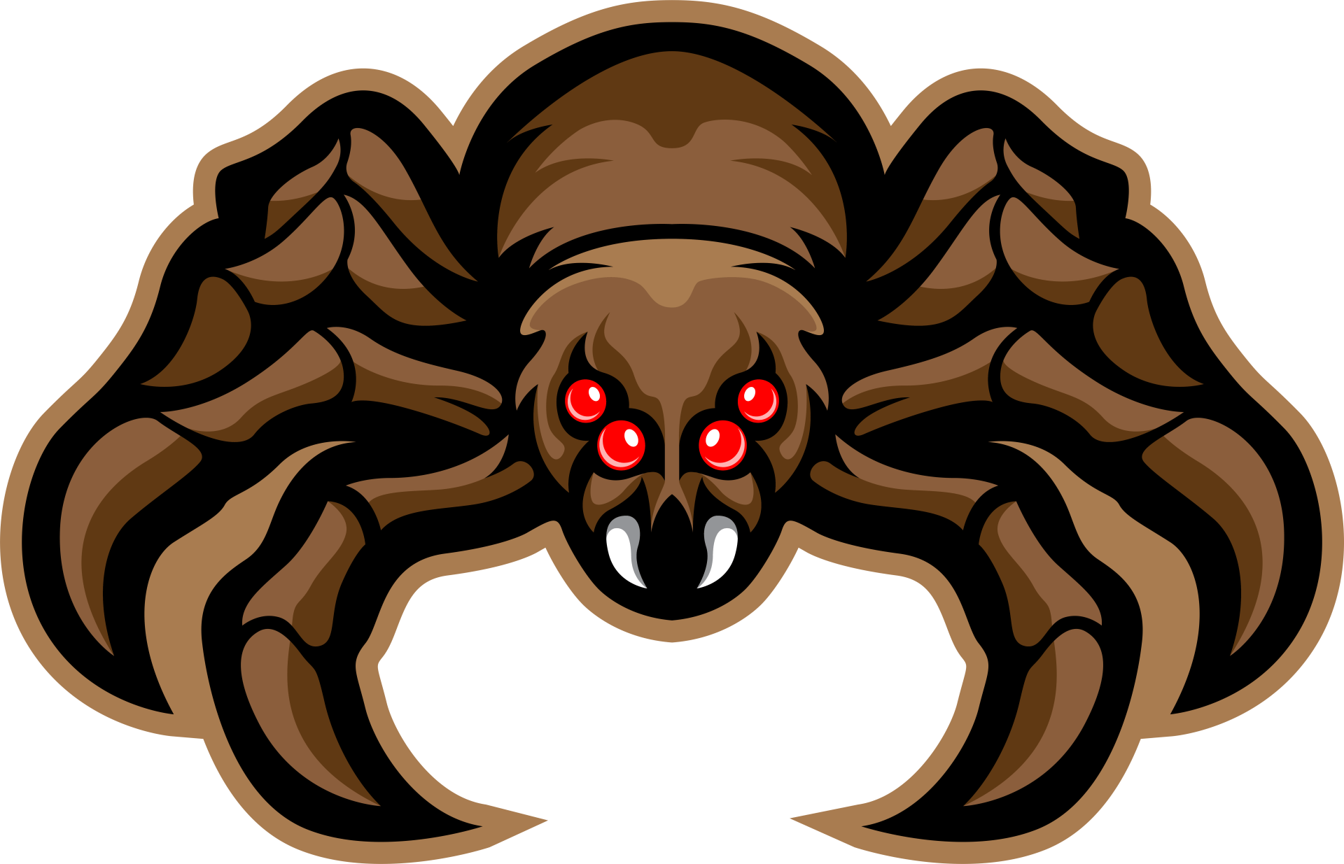Spider Drawing - Rush, NY - Target Pest Control