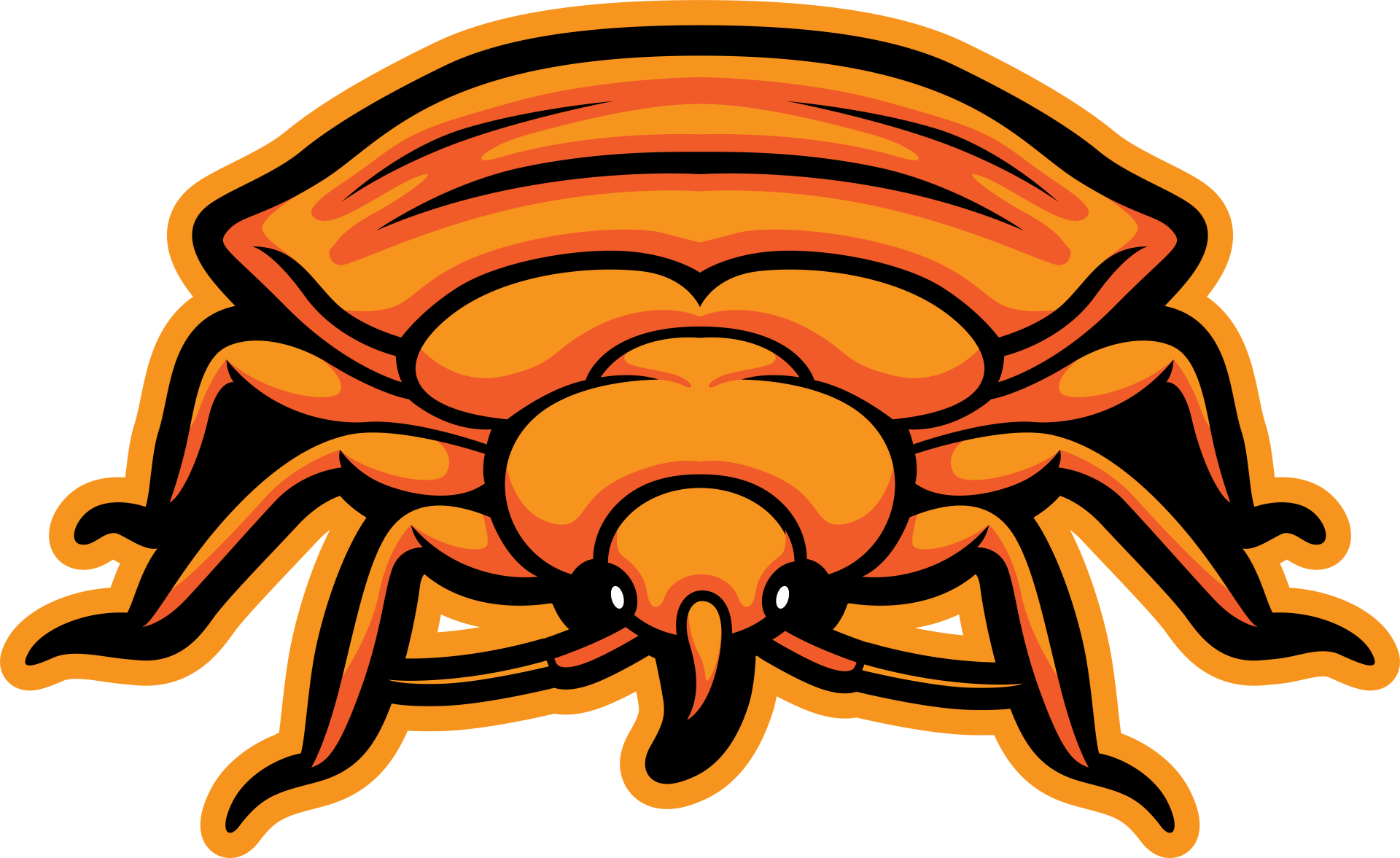 Bed Bug Drawing - Rush, NY - Target Pest Control