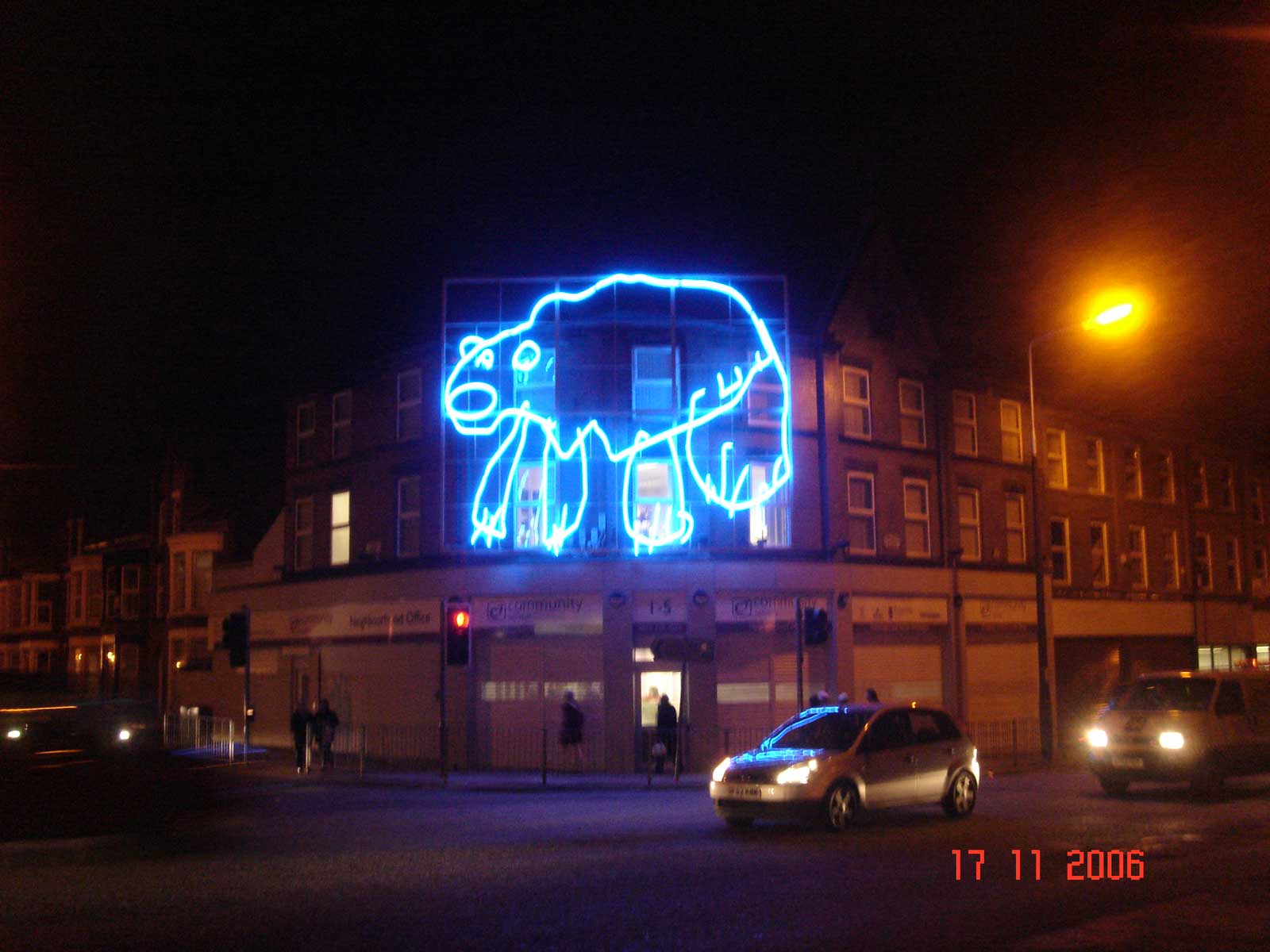 polar bear animals liverpool photos 006