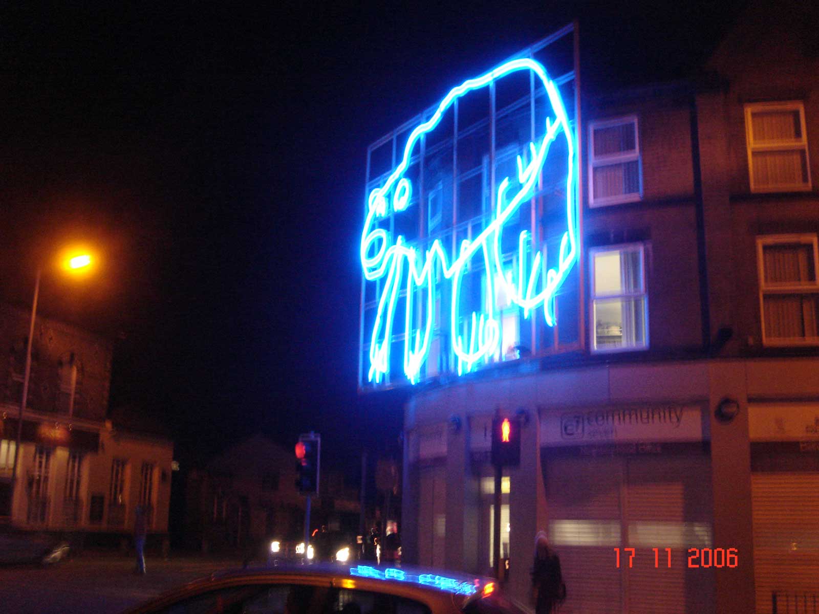 polar bear art neon liverpool 2