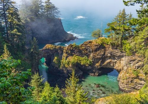 A person in a blazer working at a laptop by a large window with a view of trees, holding documents with a mug on the desk.