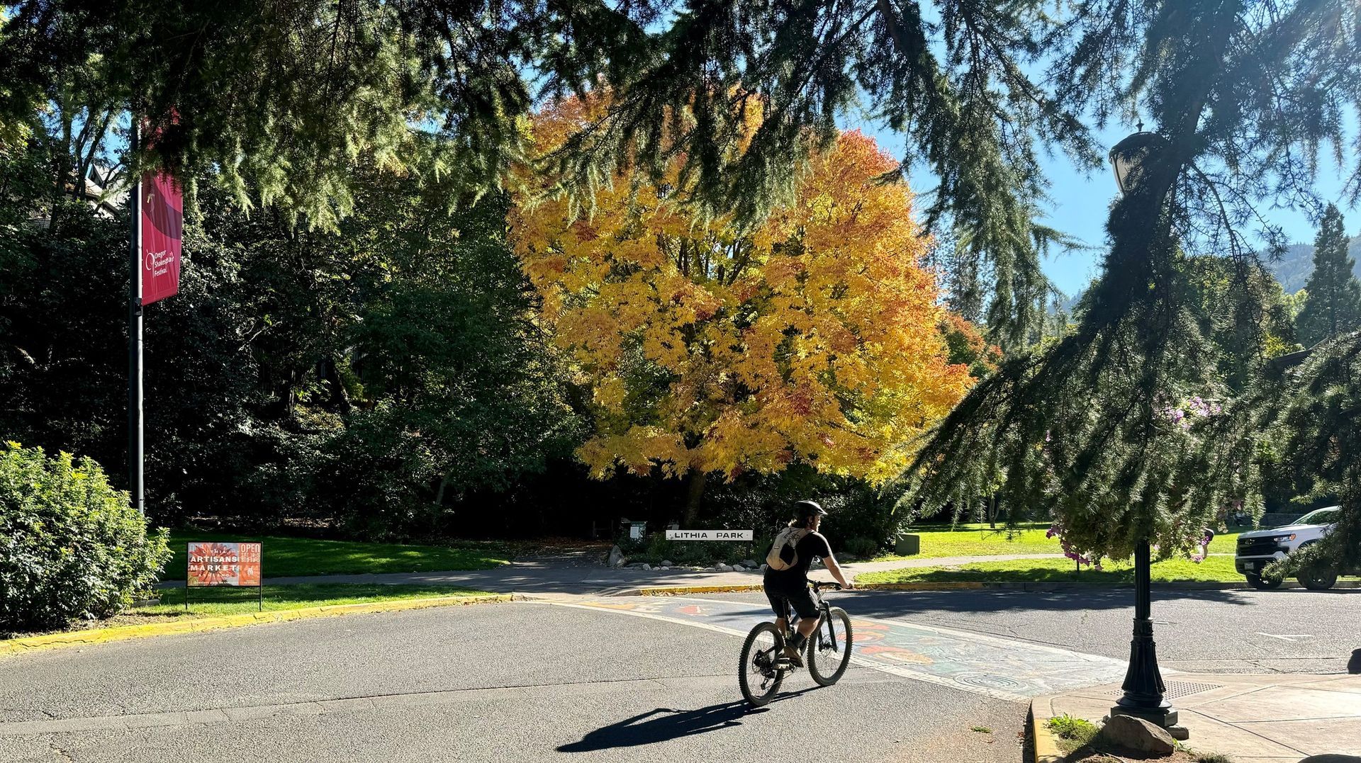 A person in a blazer working at a laptop by a large window with a view of trees, holding documents with a mug on the desk.