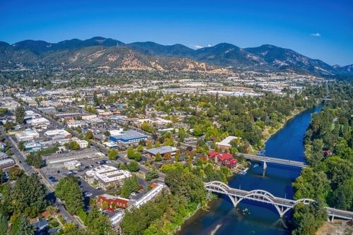 A person in a blazer working at a laptop by a large window with a view of trees, holding documents with a mug on the desk.