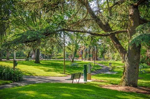 A person in a blazer working at a laptop by a large window with a view of trees, holding documents with a mug on the desk.