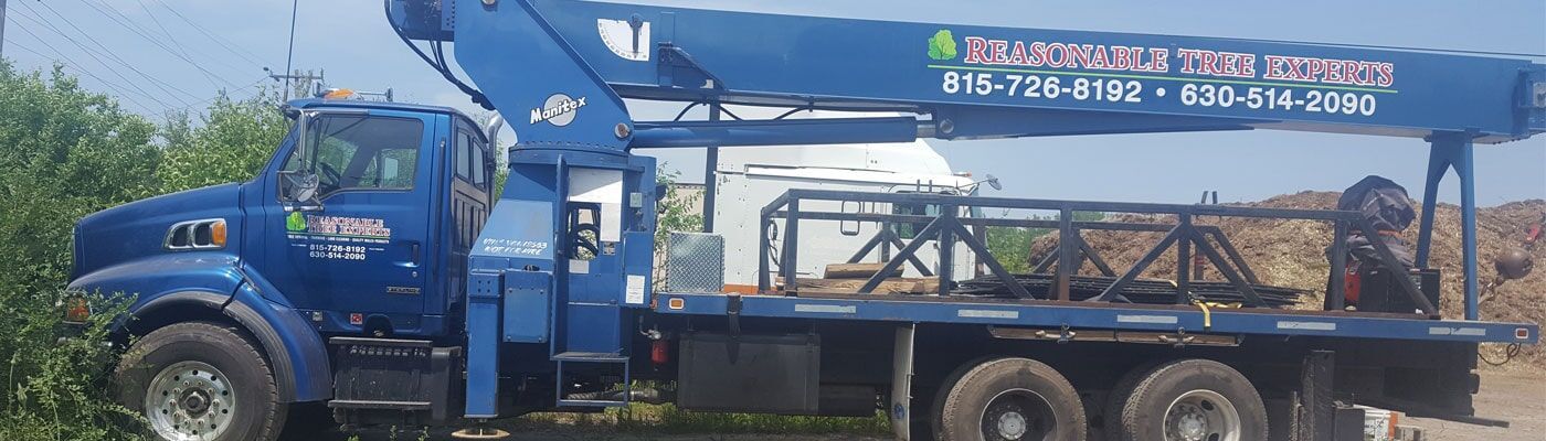 A blue truck with a crane on the back is parked on the side of the road.