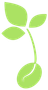 A green plant with three leaves growing out of a seed.
