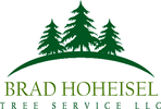 Brad Hoheisel Tree Service LLC logo