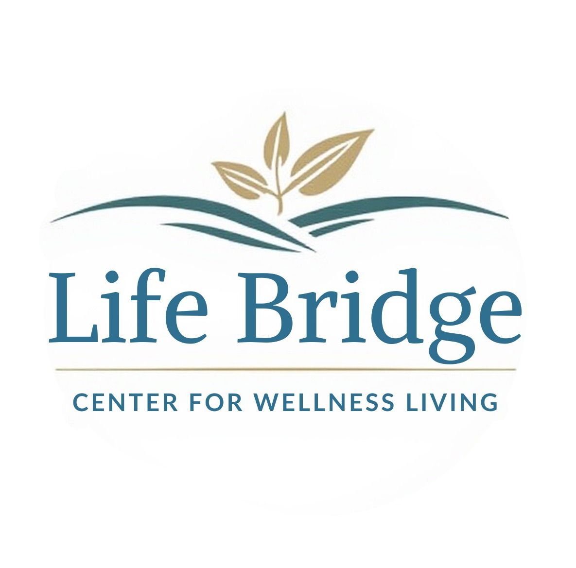 Fitness , yoga, pilates, Tai Chi for
Seniors 