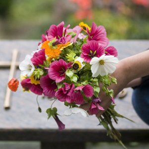 Flower arrangements and vehicles