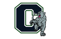 A dark blue letter C outlined in white and green, with a grey panther crouching in front of it.