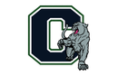 A dark blue letter C outlined in white and green, with a grey panther crouching in front of it.