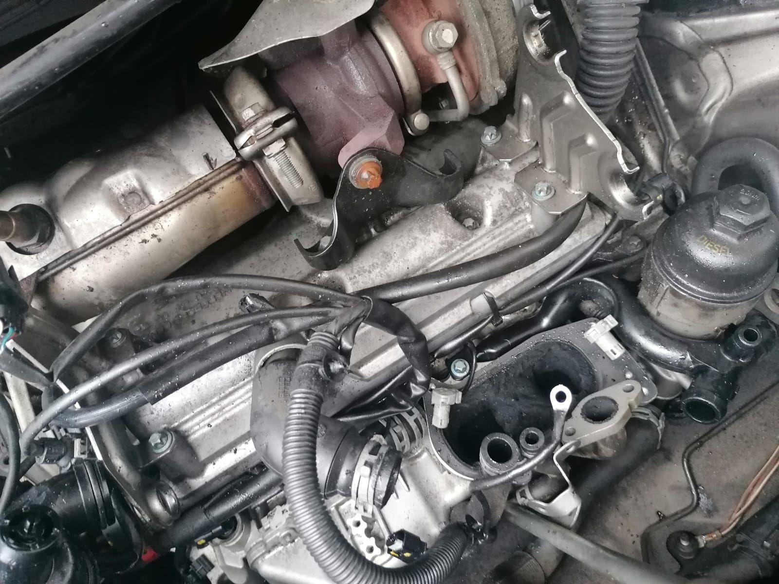 sostituzione filtri dell'aria