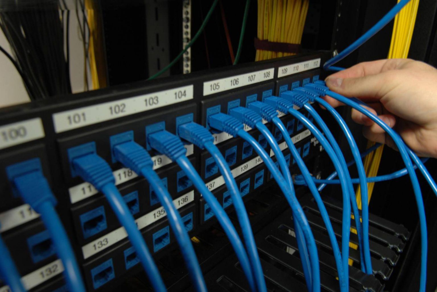 A bunch of blue wires are connected to a server – Sacramento, CA – First Solutions Incorporated