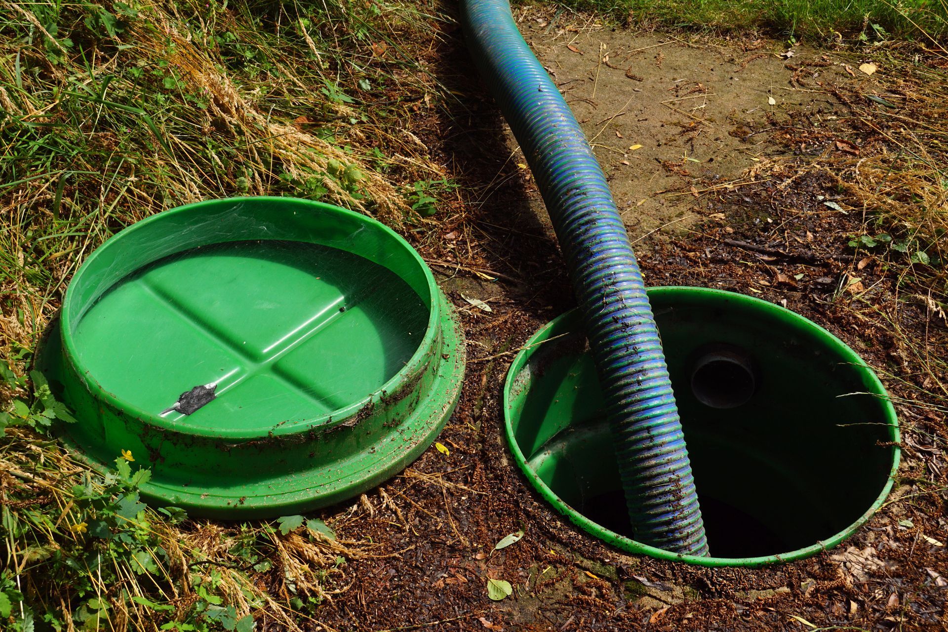 Green septic tank lid open, blue hose inside, grass background.