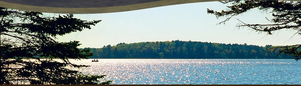 Calm lake with sunlit ripples, tree-lined shore, and evergreen branches framing the view