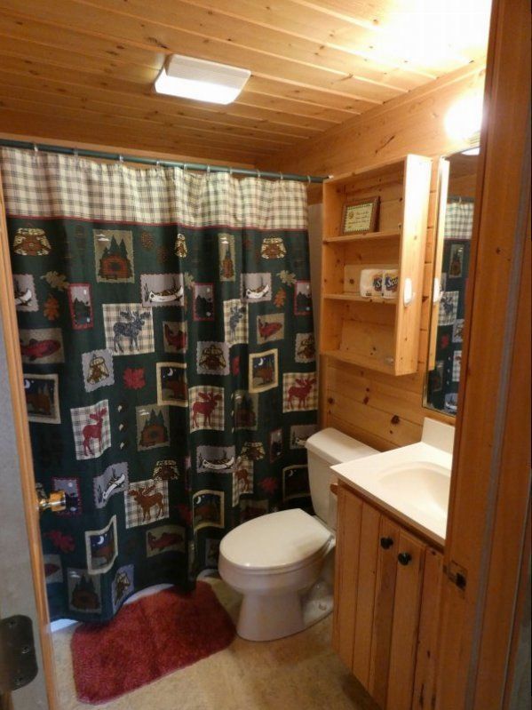 Small rustic bathroom with wood-paneled walls, shower curtain, toilet, sink, and red rug.