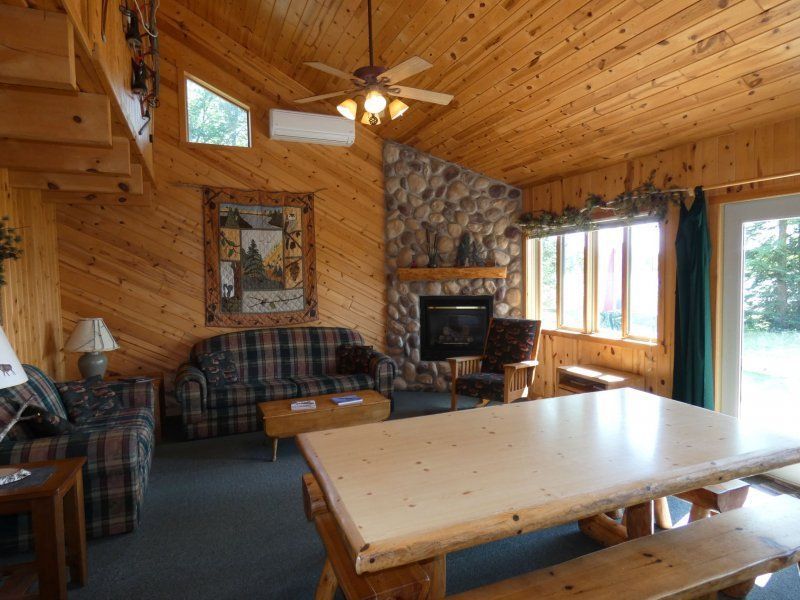 Rustic cabin living room with wood-paneled walls, stone fireplace, plaid sofa, and large wooden table