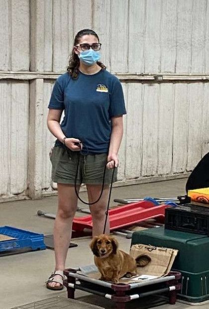 A woman wearing a mask is standing next to a small dog on a leash.