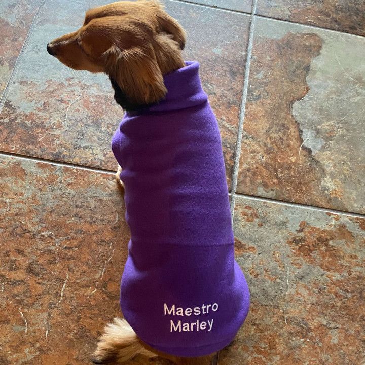 A dog wearing a purple sweater that says maestro marley
