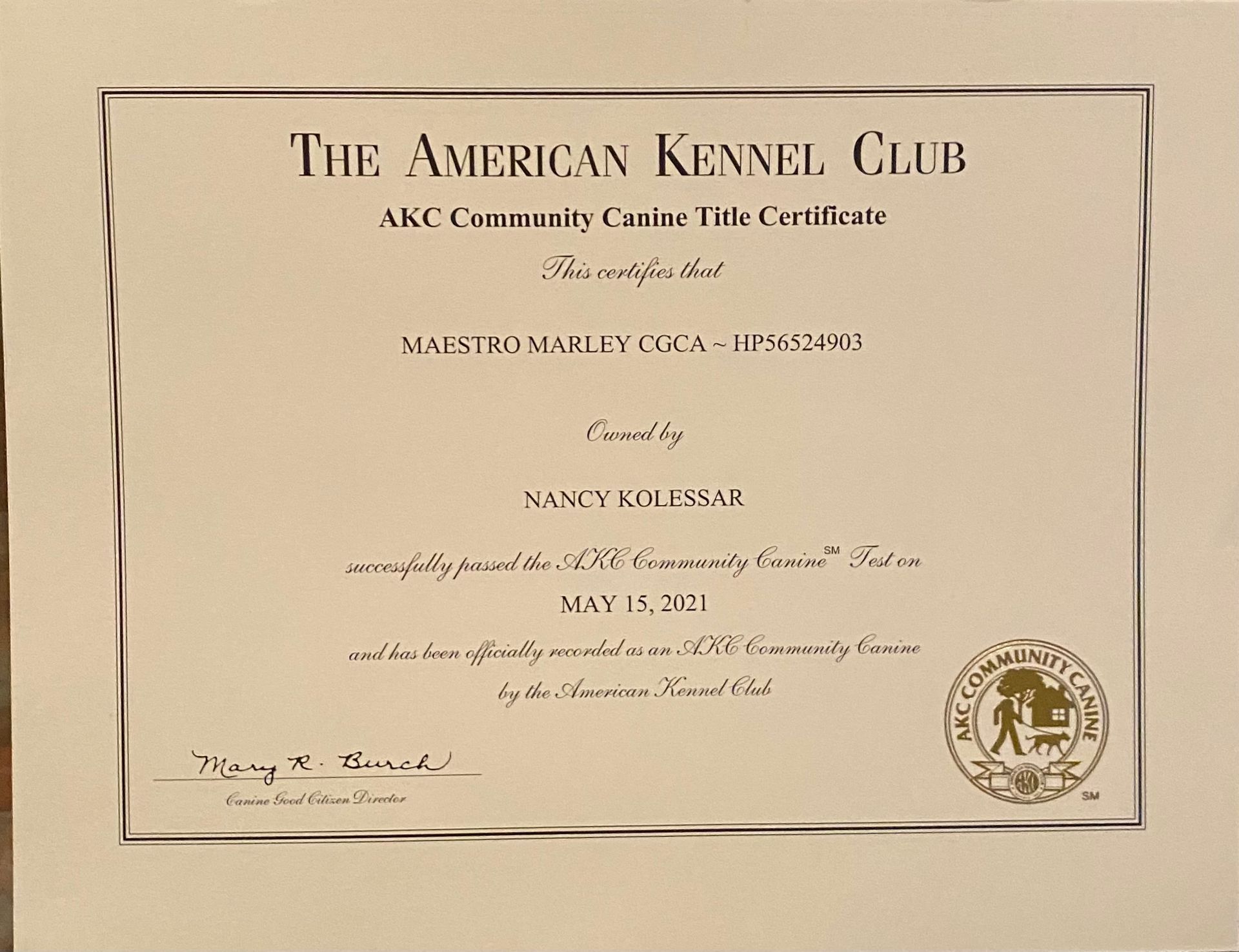A certificate from the american kennel club is on a table