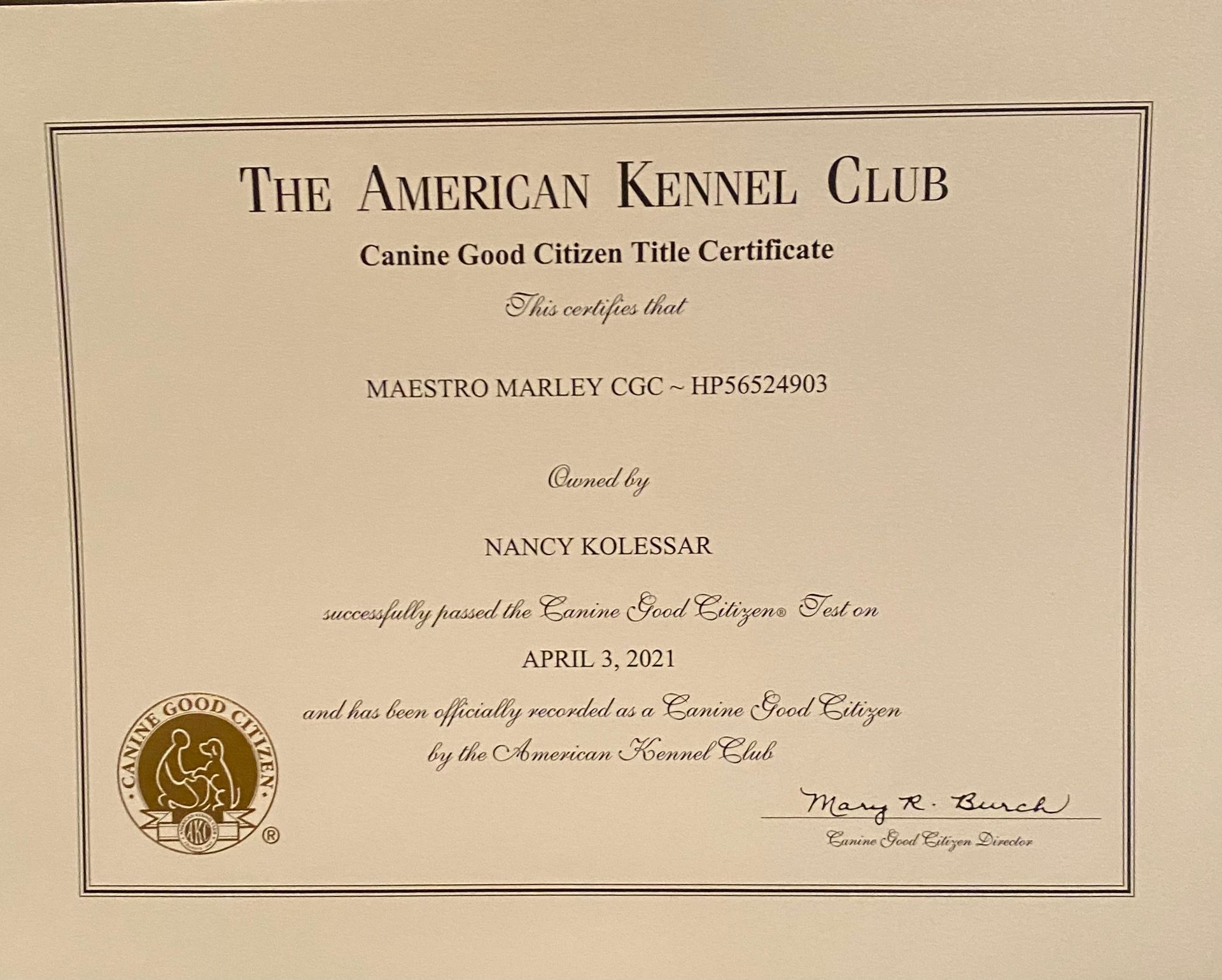 A certificate from the american kennel club