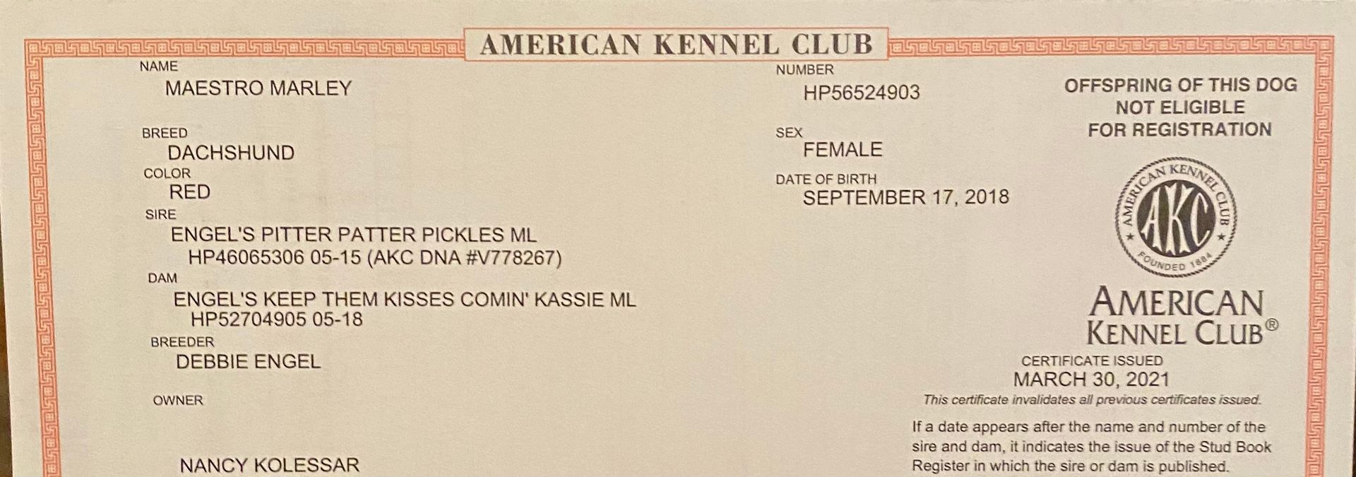 An american kennel club certificate is sitting on a table.