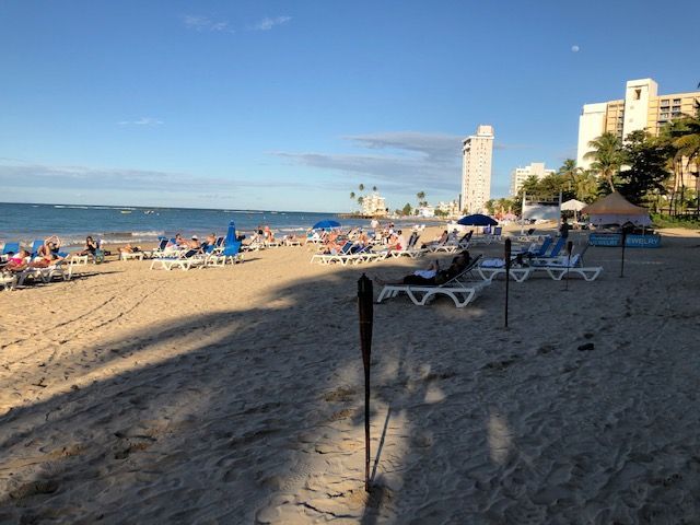 A beach with a lot of chairs and umbrellas
