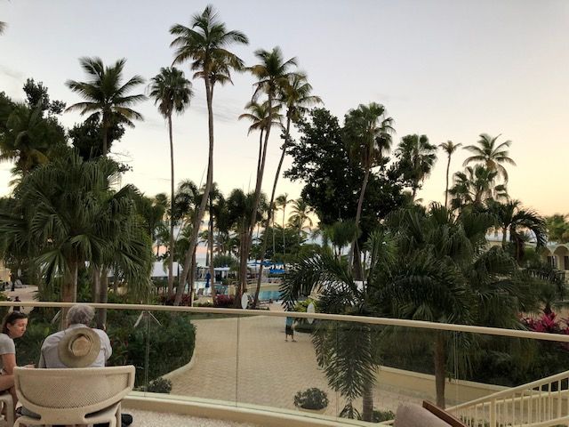 Two people are sitting on a balcony overlooking palm trees