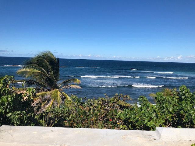 A view of the ocean from a bridge with palm trees in the foreground.