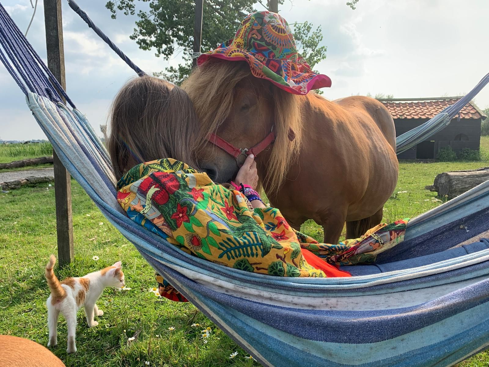 Een persoon in een hangmat wordt geknuffeld door een pony met een hoedje op; een kat is in de buurt. Buiten.