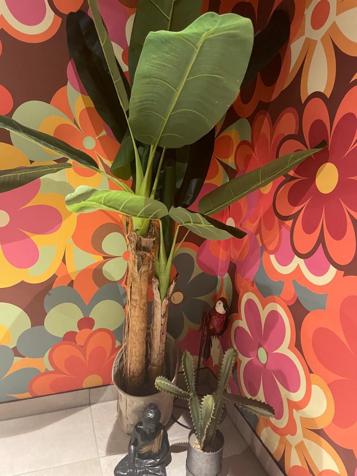 Een grote potplant met een cactus en een Boeddhabeeld, geplaatst tegen een bloemenbehang.