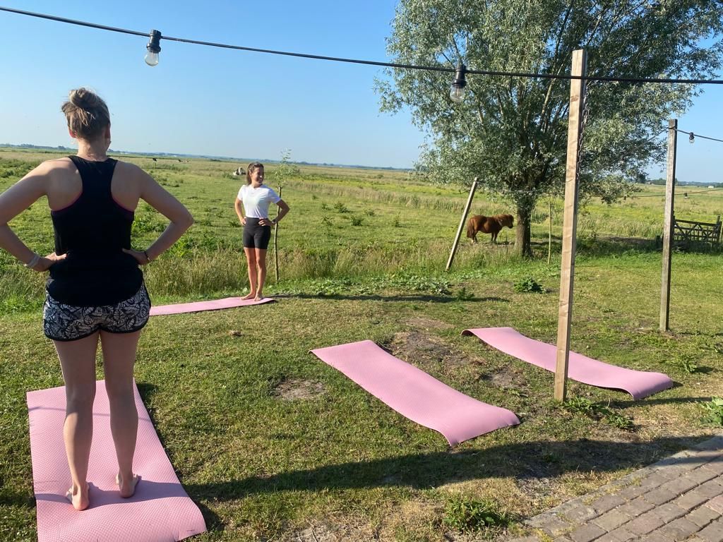 Drie mensen doen yoga op matten in de buitenlucht, met een koe in de buurt.
