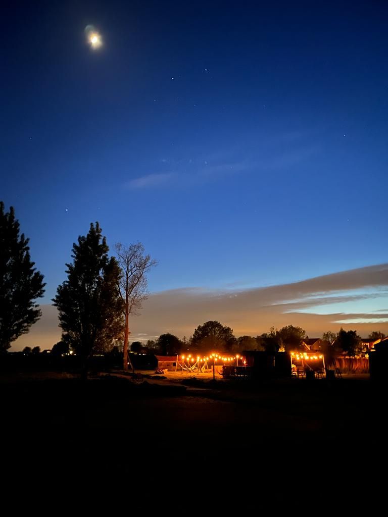 Nachtscène: Silhouetten van bomen en een gebouw tegen een donkerblauwe hemel met de maan. Sprookjesachtige lichtjes gloeien.