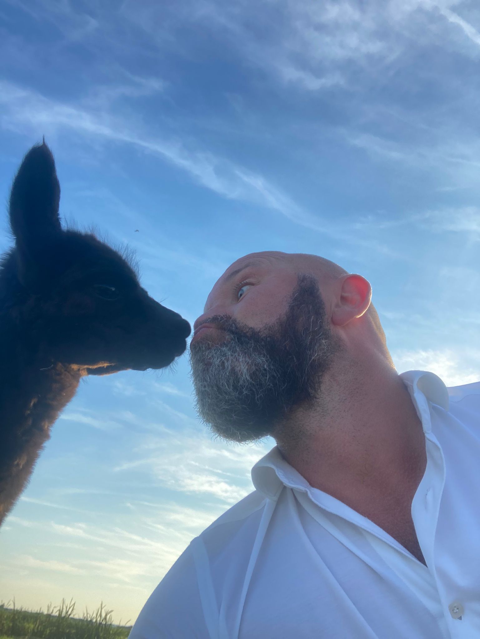 Een man kust een zwarte alpaca. Op de achtergrond een blauwe lucht.