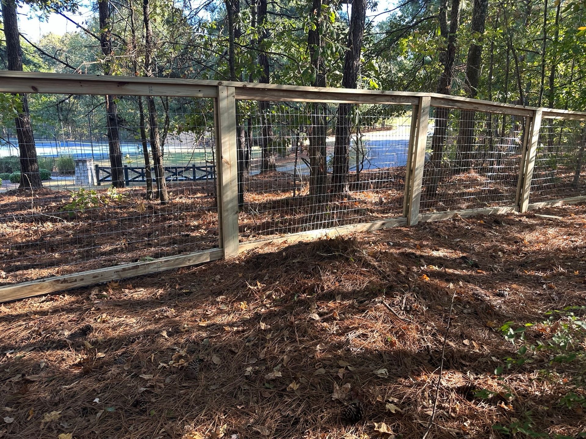 Wooden fence with chain link against a wooded backdrop. Sunny day, forest floor covered in brown leaves.