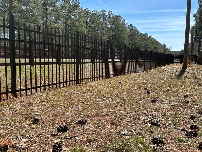 Black metal fence along a grassy area, with trees in the background under a blue sky.