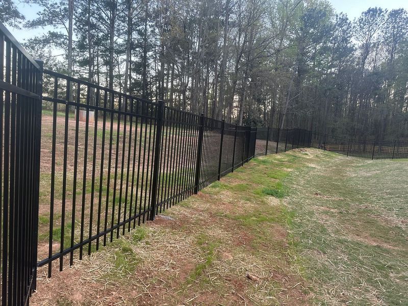 Black metal fence bordering a grassy area with trees in the background.