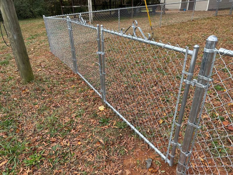 Chain-link fence in a grassy yard, with a utility pole in the left corner.