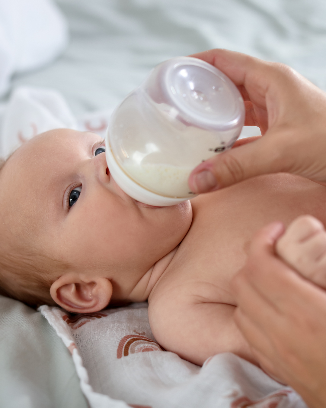 asesora de lactancia