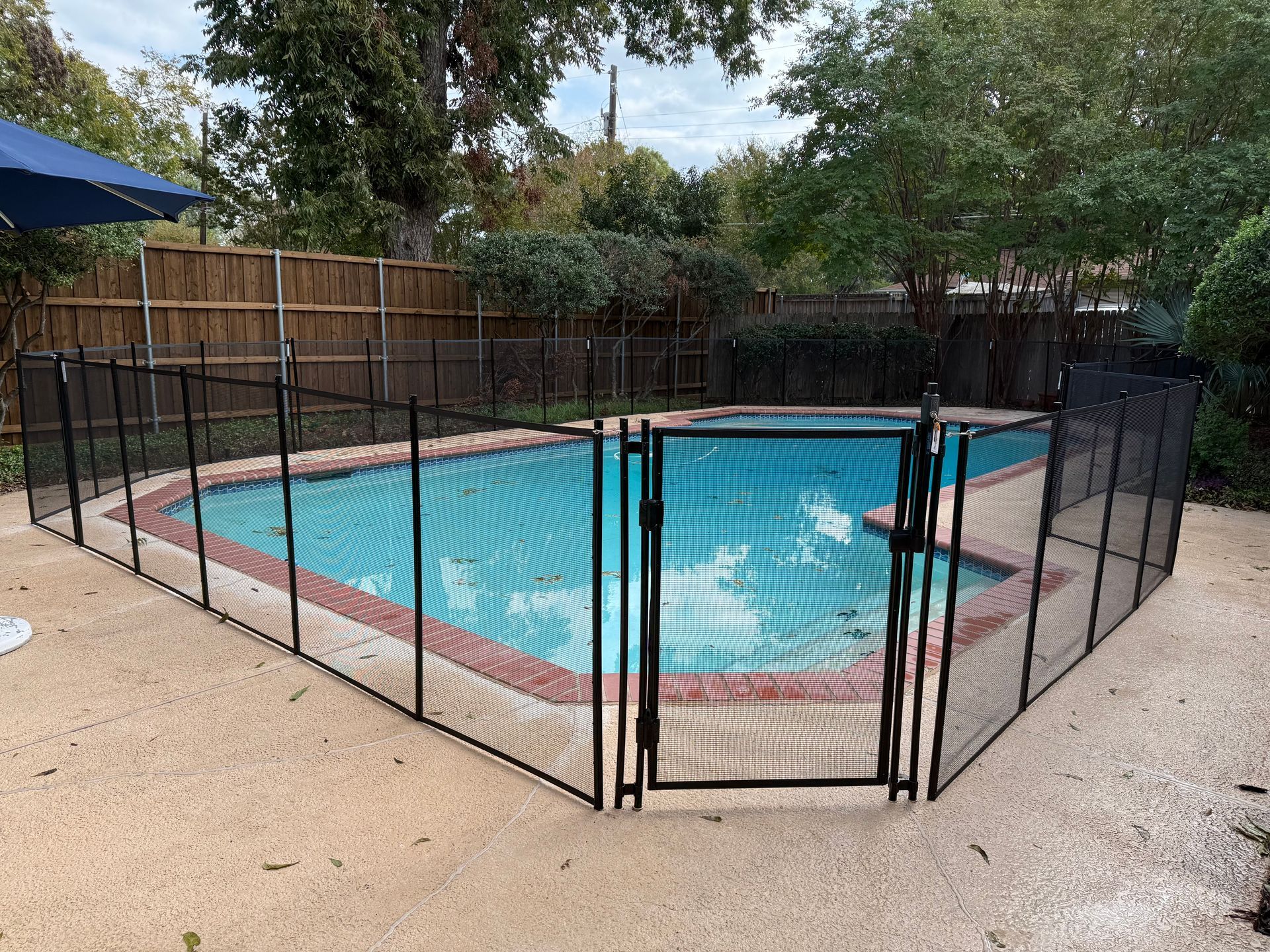 Backyard swimming pool enclosed by a black safety fence and gate, with patio and trees around it