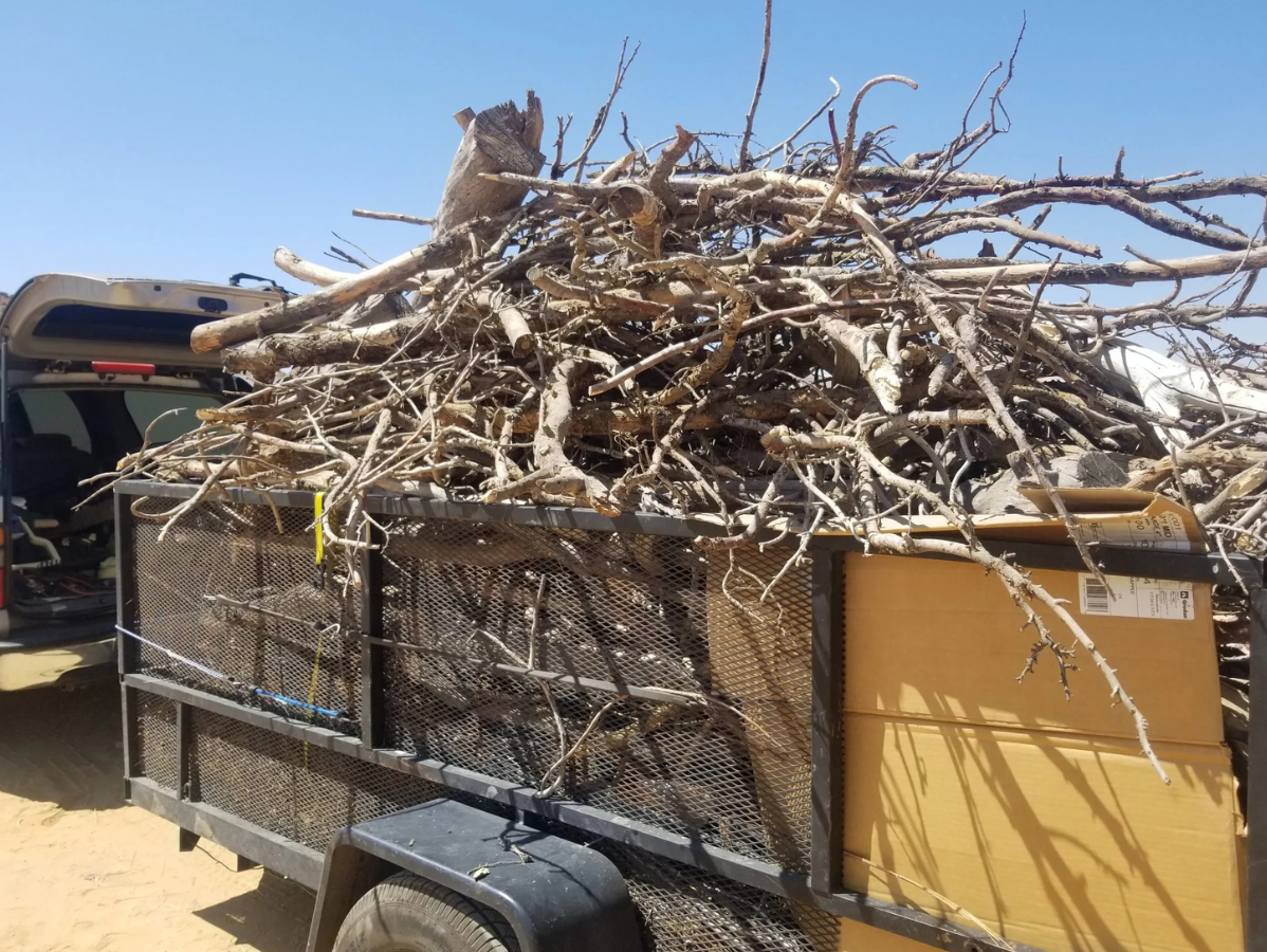 Trailer loaded with dry branches, boxes, and connected to a vehicle in a sunny outdoor setting.
