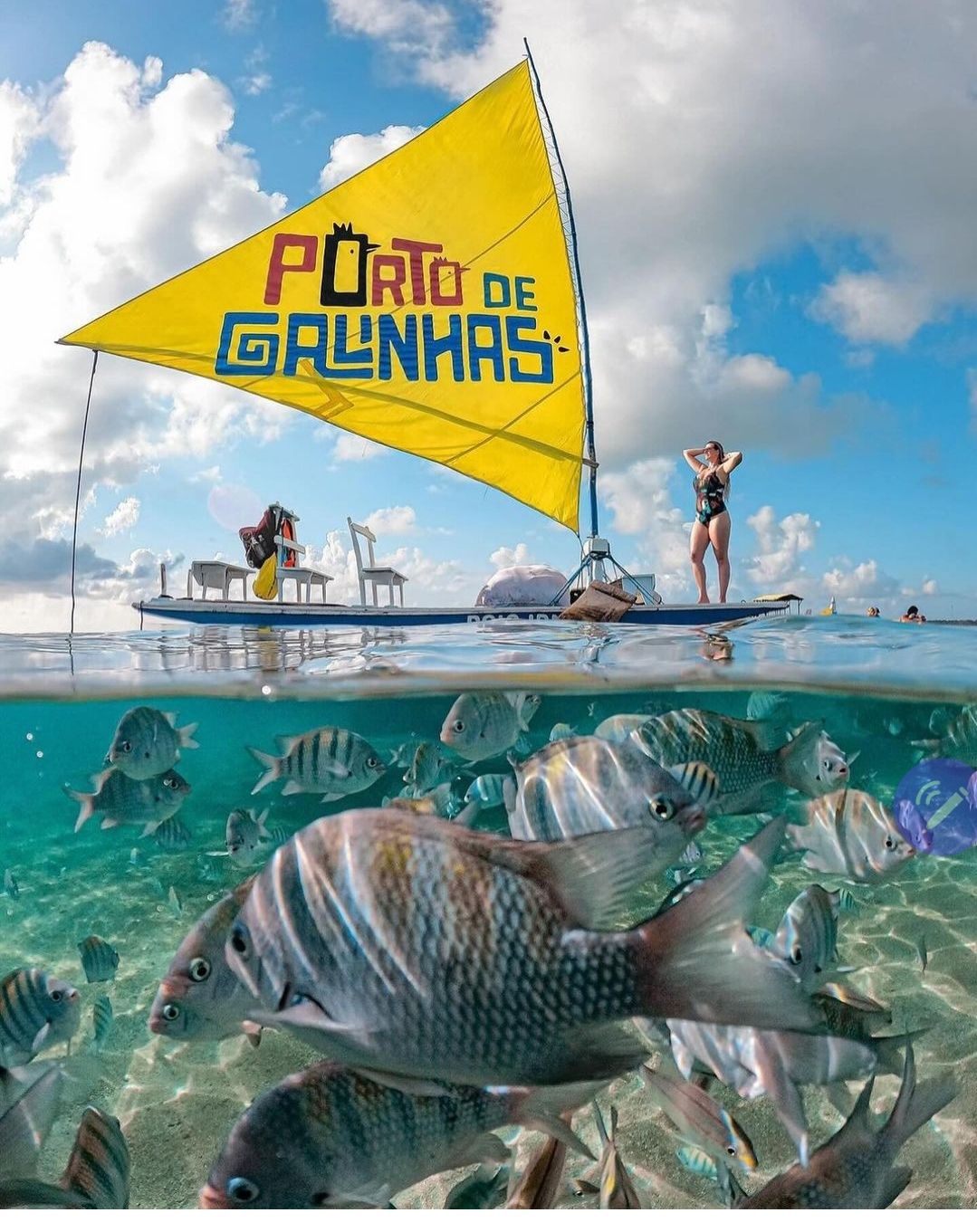 Um veleiro amarelo com as palavras porto de galinhas nele